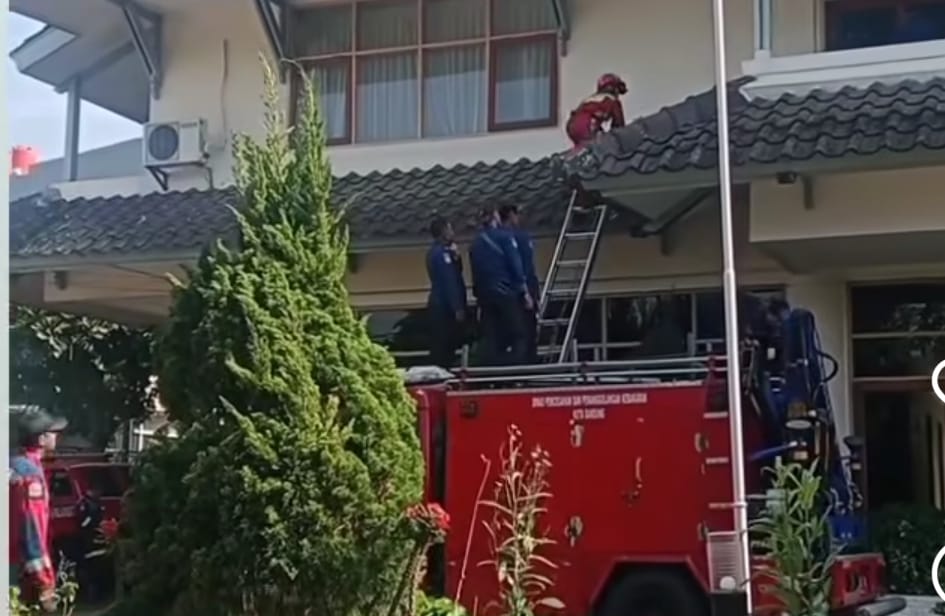 Macan Tutul Diduga kabur dari Lembang Zoo Ditemukan Masuk ke Hotel di Bandung